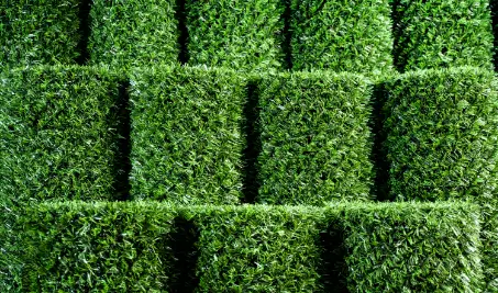 Нужен бесплатный расчет забора Grass Fence из искусственной травы в Астрахани?